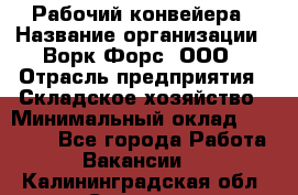 Рабочий конвейера › Название организации ­ Ворк Форс, ООО › Отрасль предприятия ­ Складское хозяйство › Минимальный оклад ­ 27 000 - Все города Работа » Вакансии   . Калининградская обл.,Советск г.